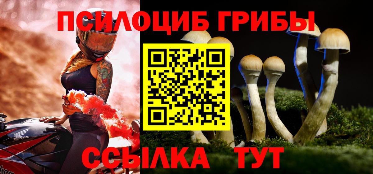 Тамбов  как найти закладки  Вход с VPN  Галлюциногенные грибы мухоморы  Псилоцибиновые грибы Cubensis 