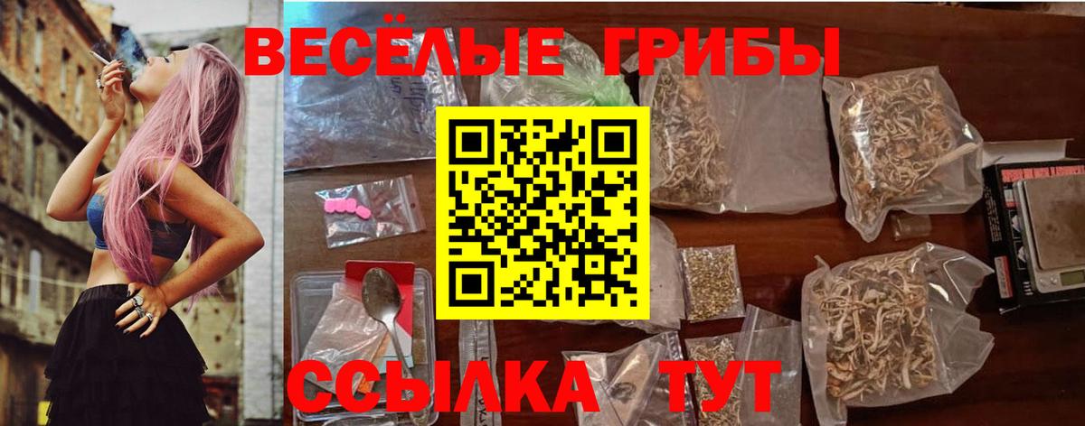 Псилоцибиновые грибы Cubensis Тамбов
