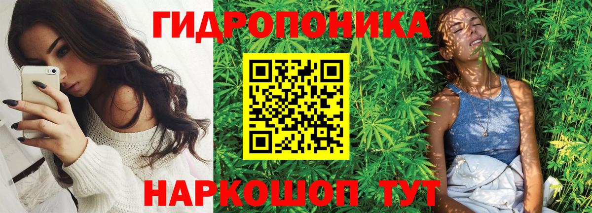 Каннабис Ganja Тамбов
